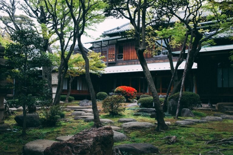 Japan – Ein Land der faszinierenden Kontraste