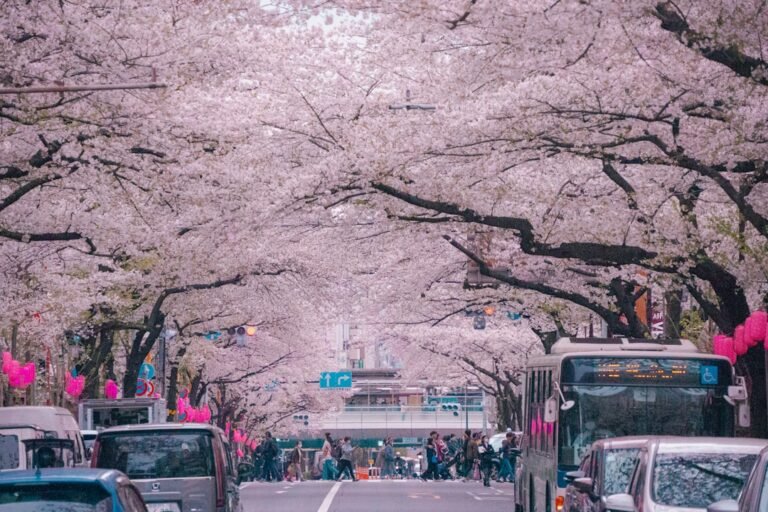 Japan entdecken – Reisetipps und Tricks für ein unvergessliches Abenteuer